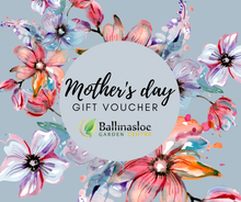 Load image into Gallery viewer, Gift Voucher (Ballinasloe Garden Centre Physical Product)