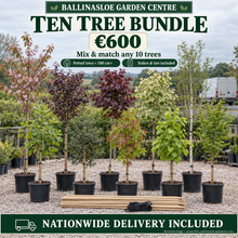 Load image into Gallery viewer, Illustrative Ten Tree Bundle: ten potted nursery trees, timber stakes and rubber ties, €600 with nationwide delivery included.
