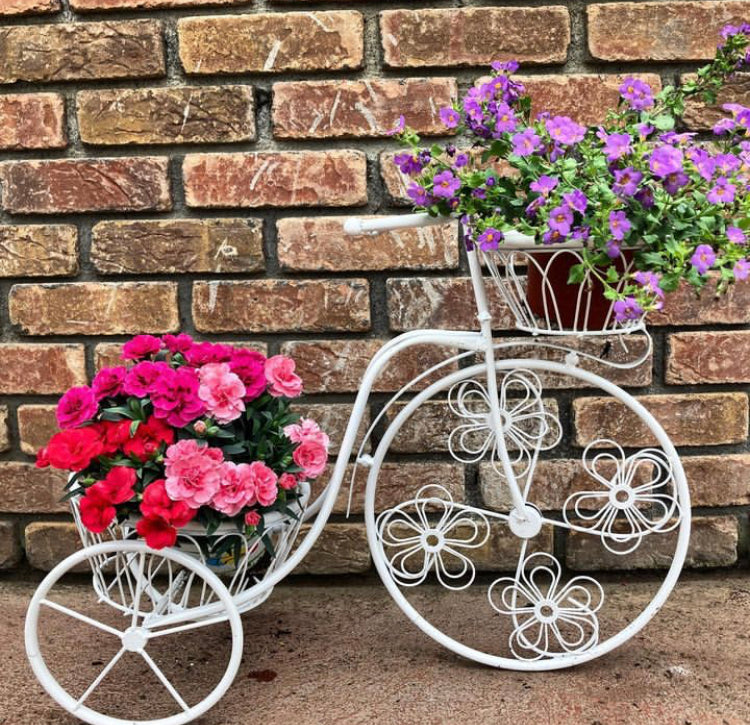 White Ornamental Bicycle