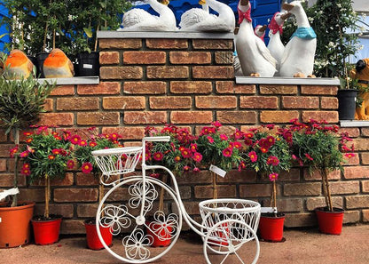 White Ornamental Bicycle
